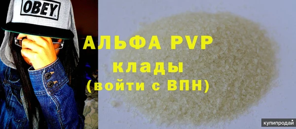 прущие грибы Костерёво