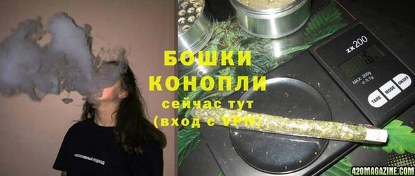 прущие грибы Костерёво