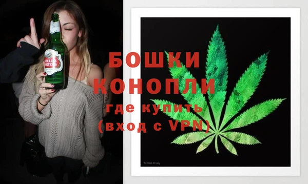 прущие грибы Костерёво
