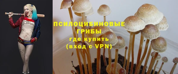 стафф Кодинск