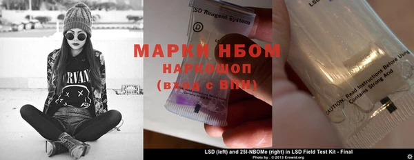 прущие грибы Костерёво