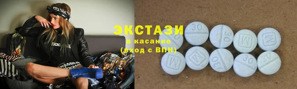гашик Козельск