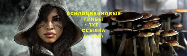 дмт Корсаков