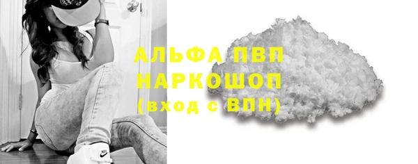 стафф Кодинск
