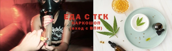 гашик Козельск