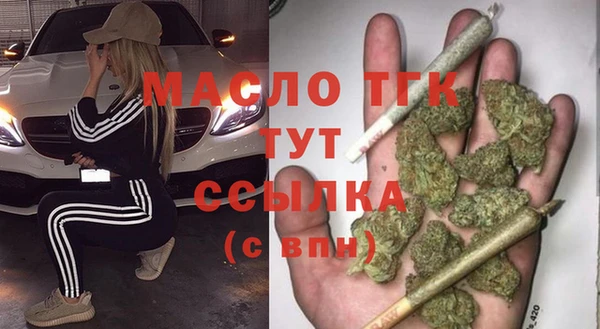 гашик Козельск