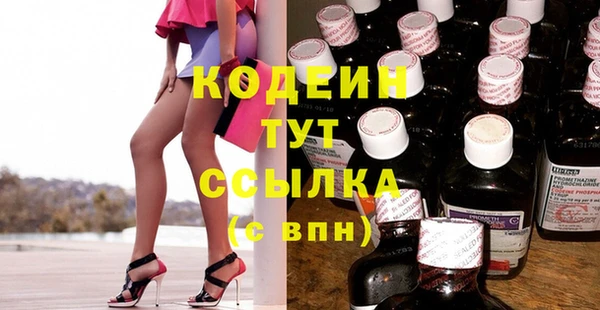 прущие грибы Костерёво