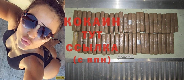 шишки Балашиха