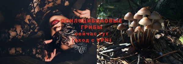 дмт Корсаков